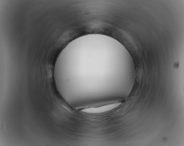 X0000099480232200805301625