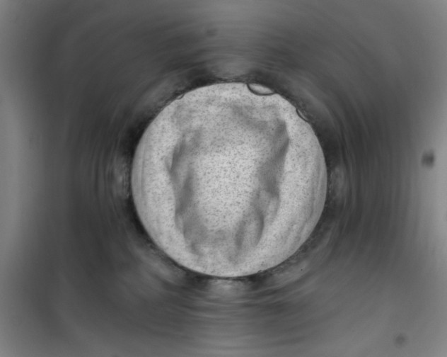 X0000099480234200805301625
