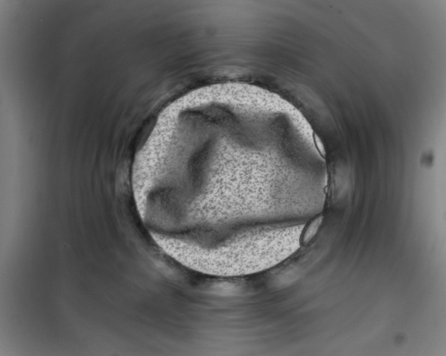 X0000099480236200805301625