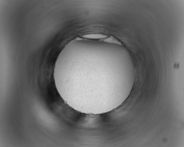 X0000099480240200805301625