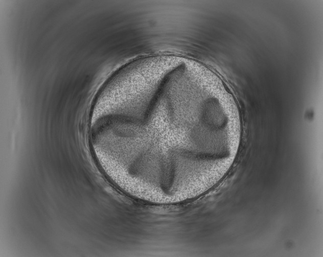 X0000099480241200805301625