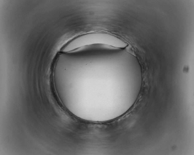 X0000099480242200805301625