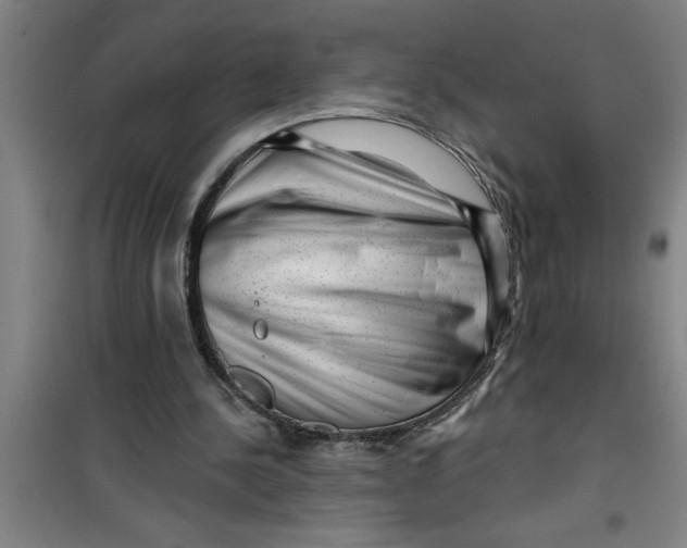 X0000099480244200805301625