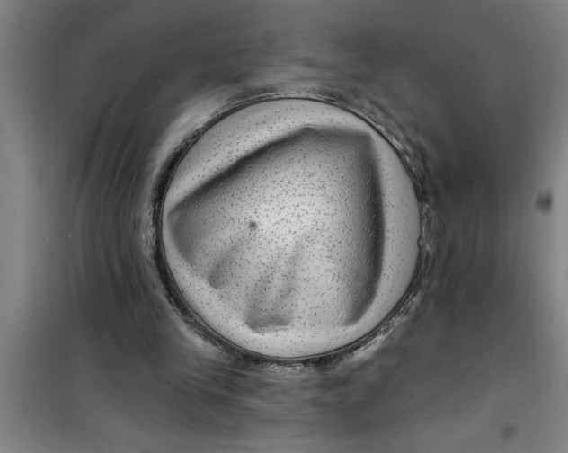 X0000099480245200805301625