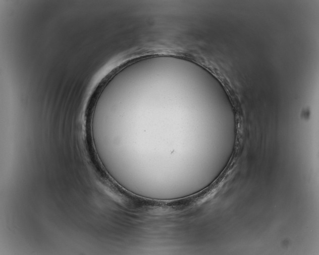 X0000099480246200805301625