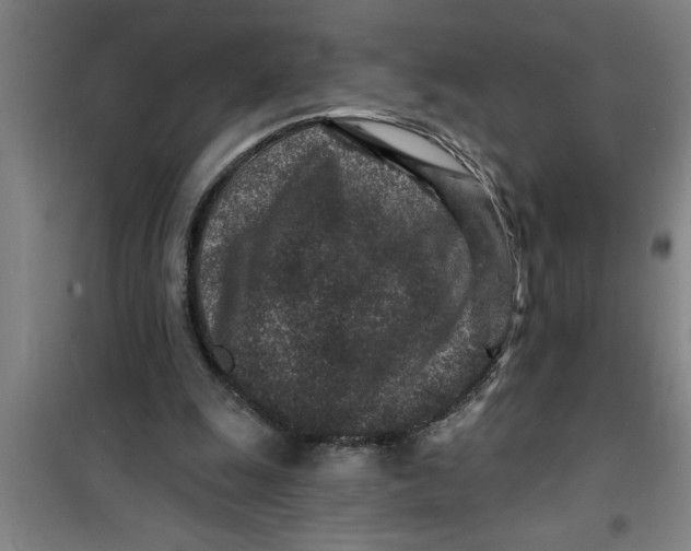 X0000099480247200805301625