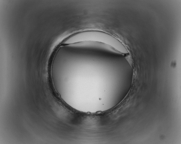 X0000099480248200805301625