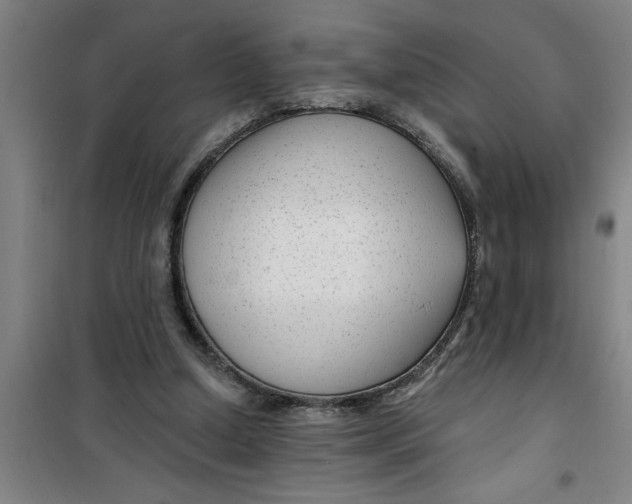 X0000099480250200805301625