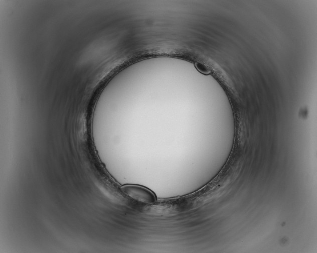 X0000099480251200805301625