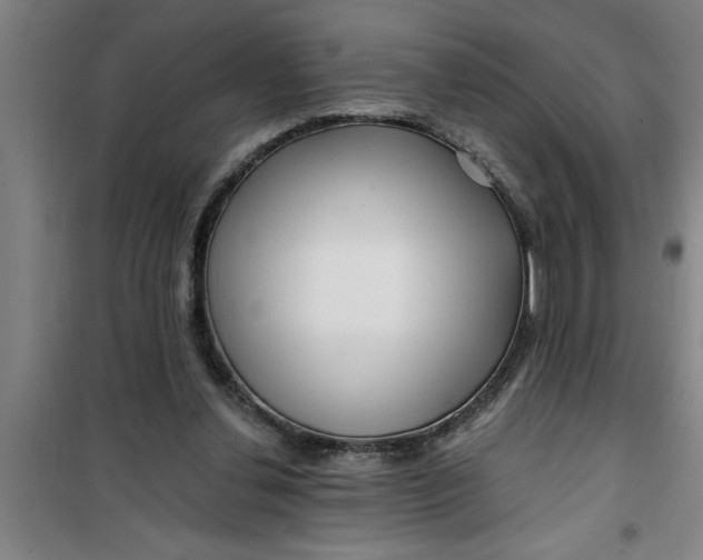 X0000099480252200805301625