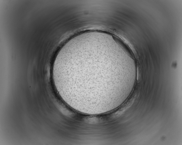X0000099480253200805301625