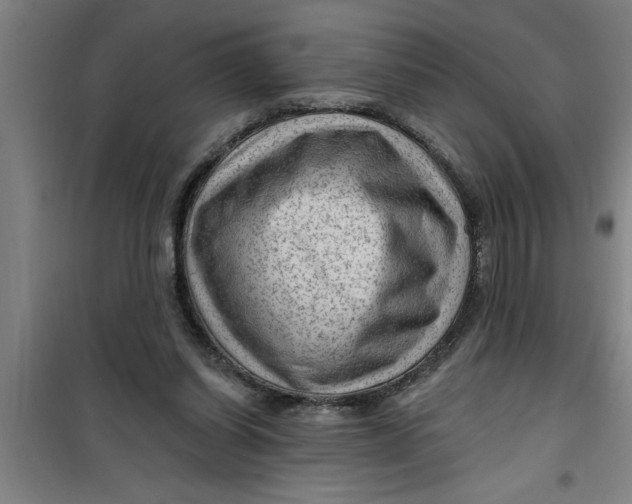 X0000099480254200805301625