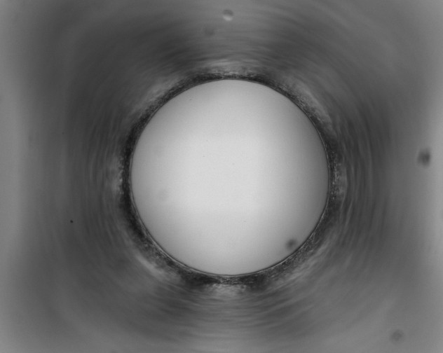 X0000099480255200805301625