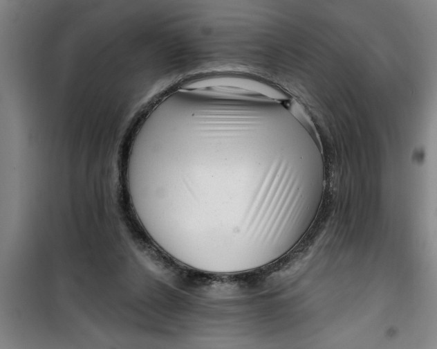X0000099480256200805301625
