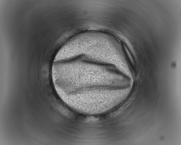 X0000099480257200805301625