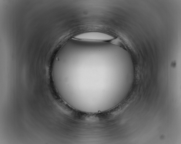 X0000099480258200805301625