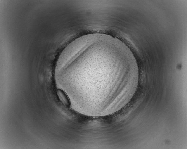X0000099480259200805301625