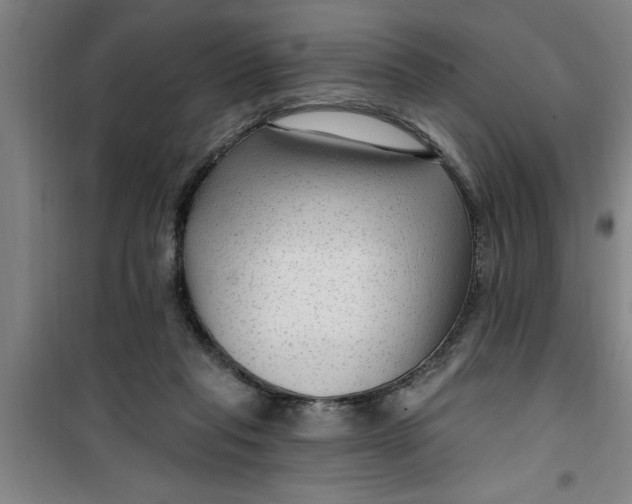 X0000099480261200805301625