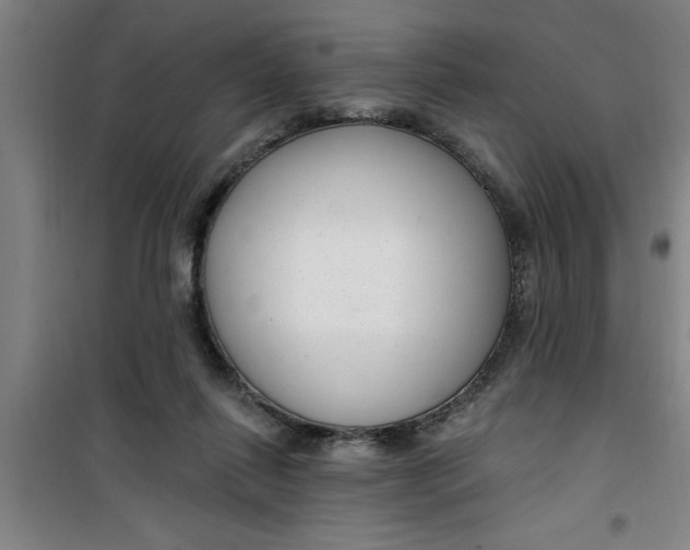 X0000099480262200805301625
