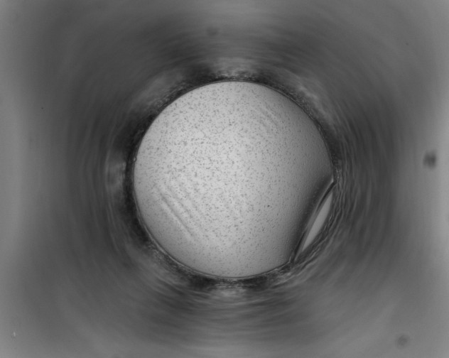 X0000099480263200805301625
