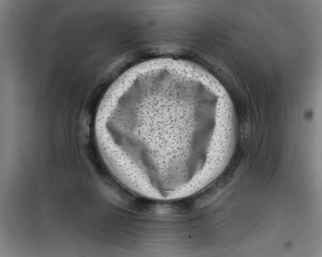 X0000099480264200805301625