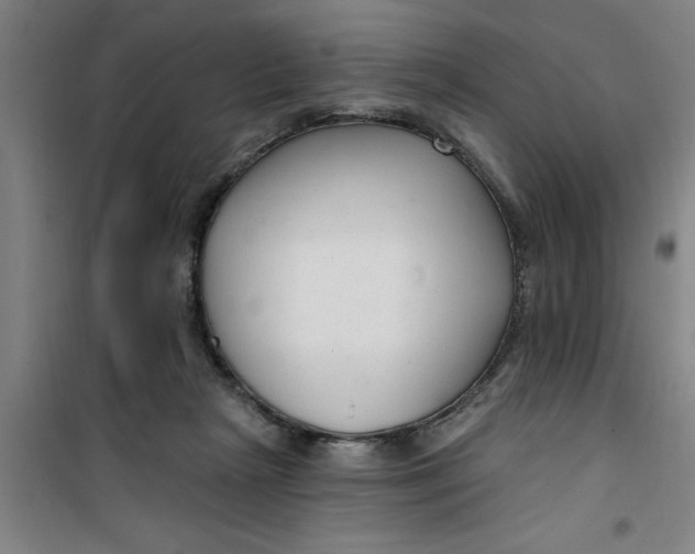 X0000099480265200805301625