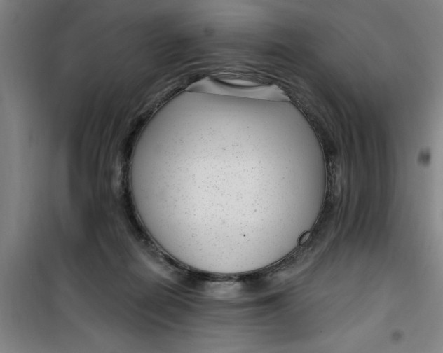 X0000099480266200805301625