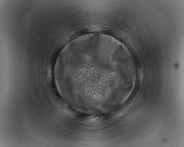 X0000099480267200805301625