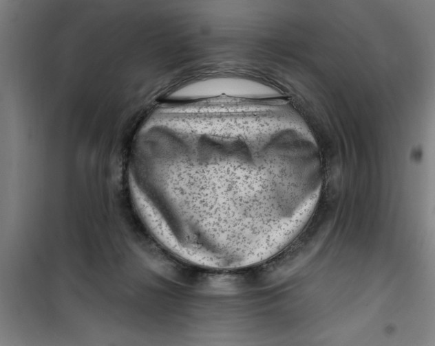 X0000099480268200805301625