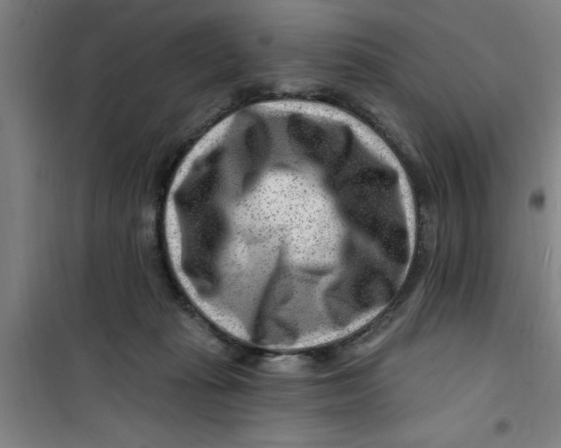 X0000099480269200805301625
