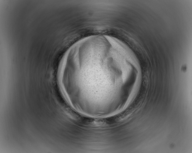 X0000099480270200805301625
