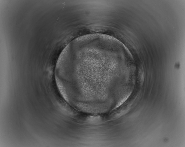 X0000099480271200805301625