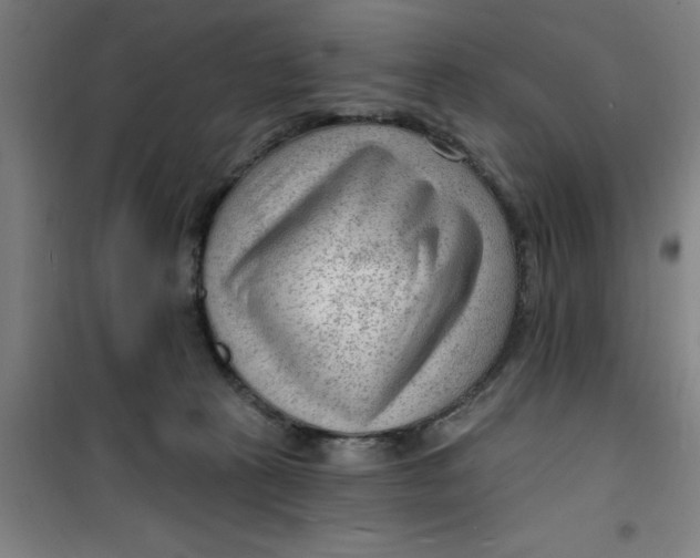 X0000099480273200805301625