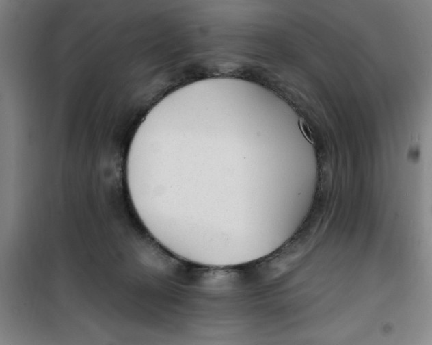 X0000099480274200805301625