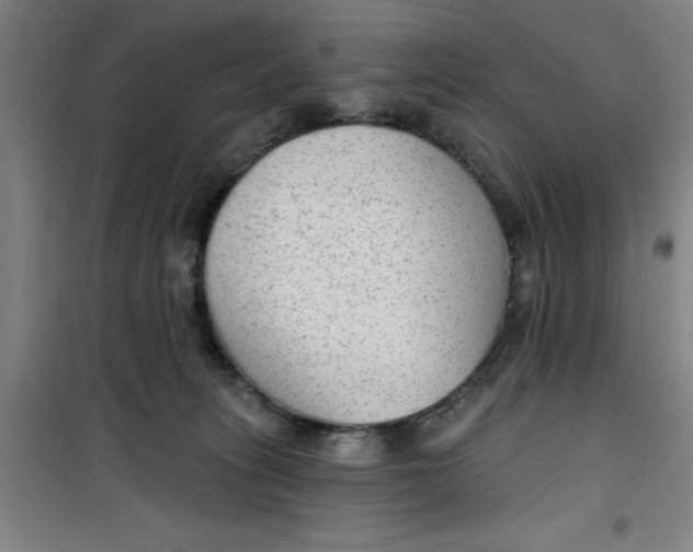 X0000099480275200805301625
