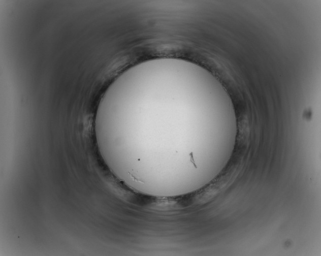 X0000099480278200805301625