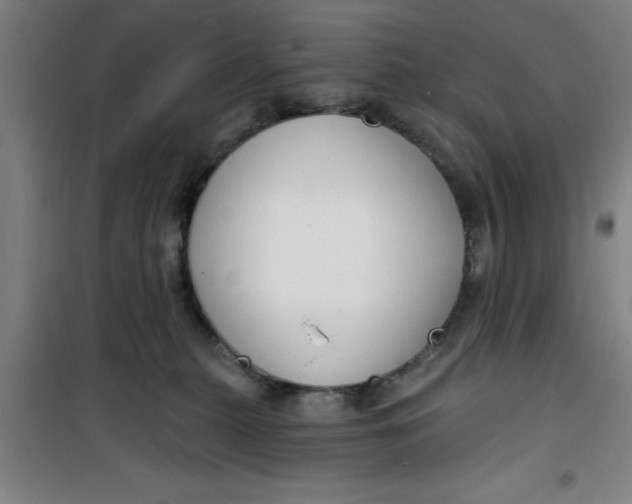 X0000099480279200805301625