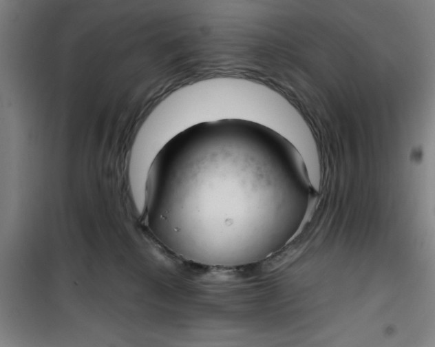 X0000099480280200805301625