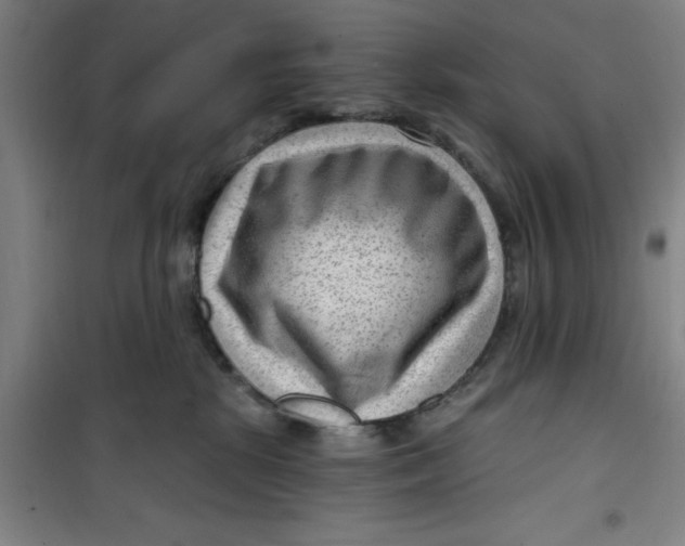 X0000099480281200805301625