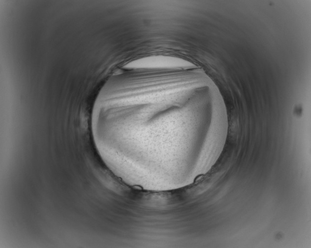 X0000099480282200805301625
