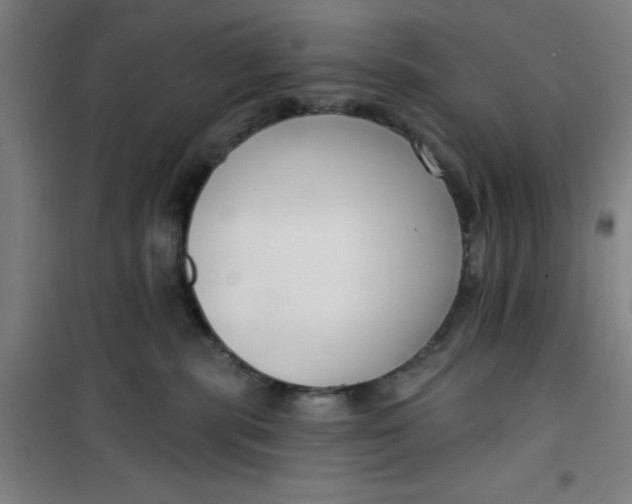 X0000099480283200805301625