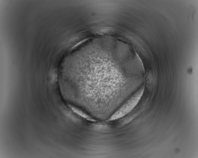X0000099480284200805301625