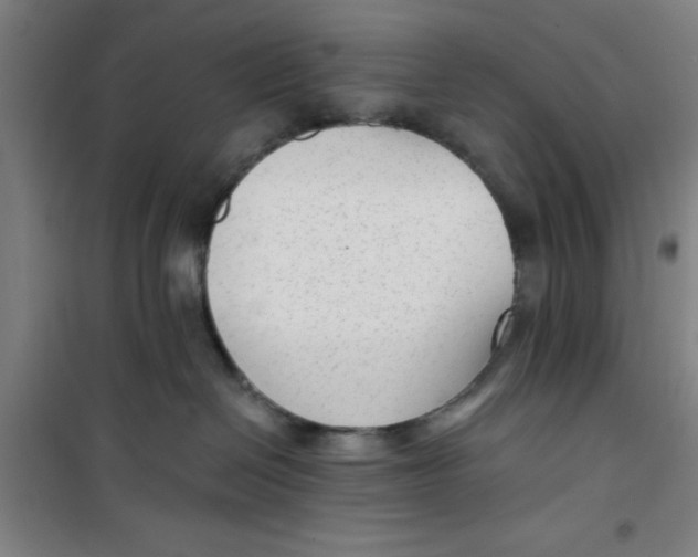 X0000099480286200805301625