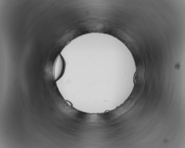 X0000099480287200805301625