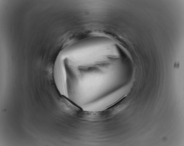 X0000099480288200805301625