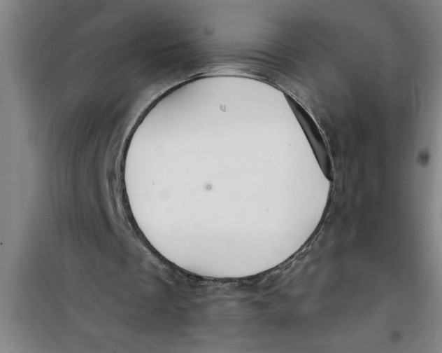 X0000099480289200805301625