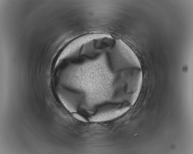 X0000099480290200805301625