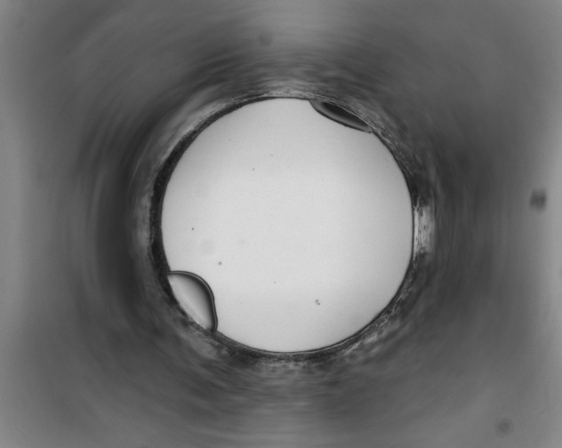 X0000099480291200805301625