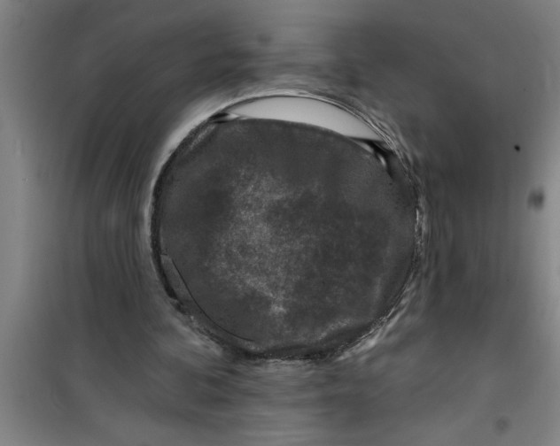 X0000099480292200805301625