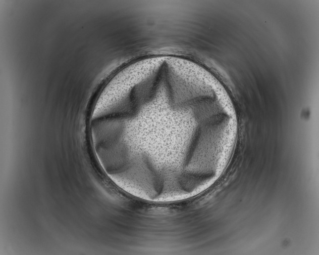 X0000099480298200805301624